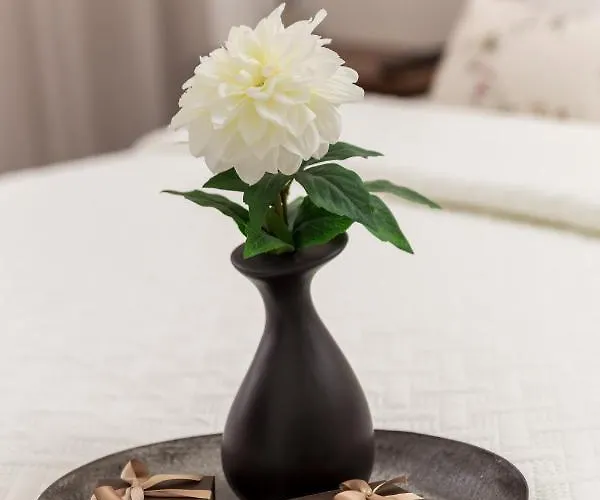 Ola Luxury * Opatija