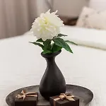 Ola Luxury * 奥帕提亚