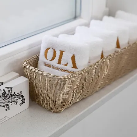 Ola Luxury Apartment *